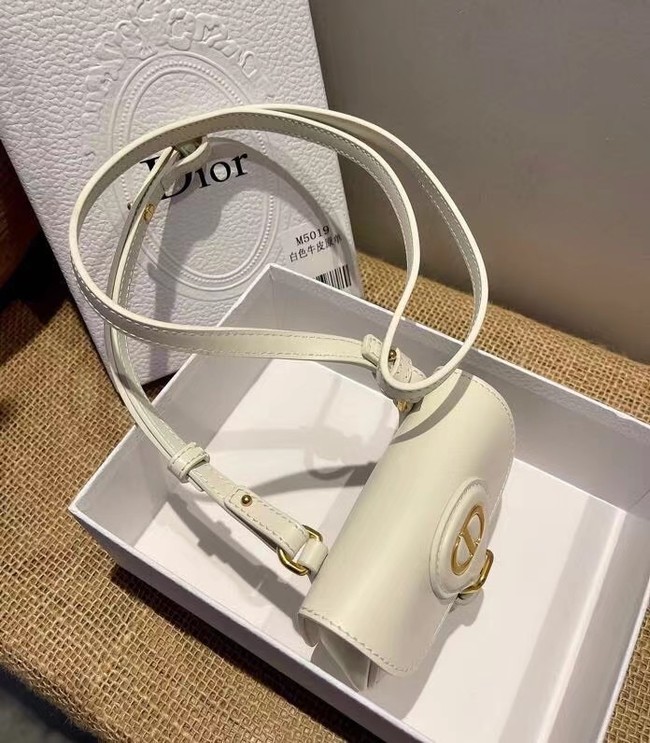 MINI DIOR BOBBY BAG Warm Taupe Box Calfskin S5109U WHITE