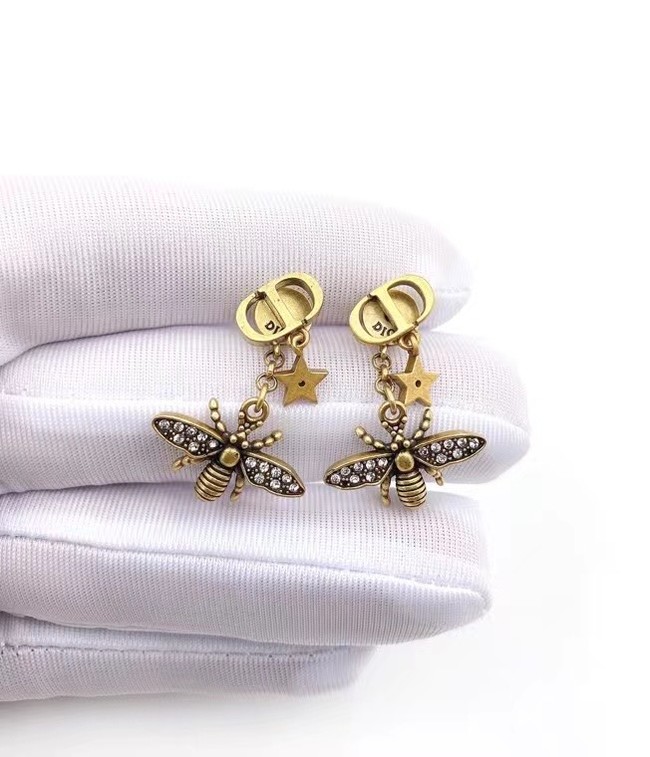 Dior Earrings CE7183