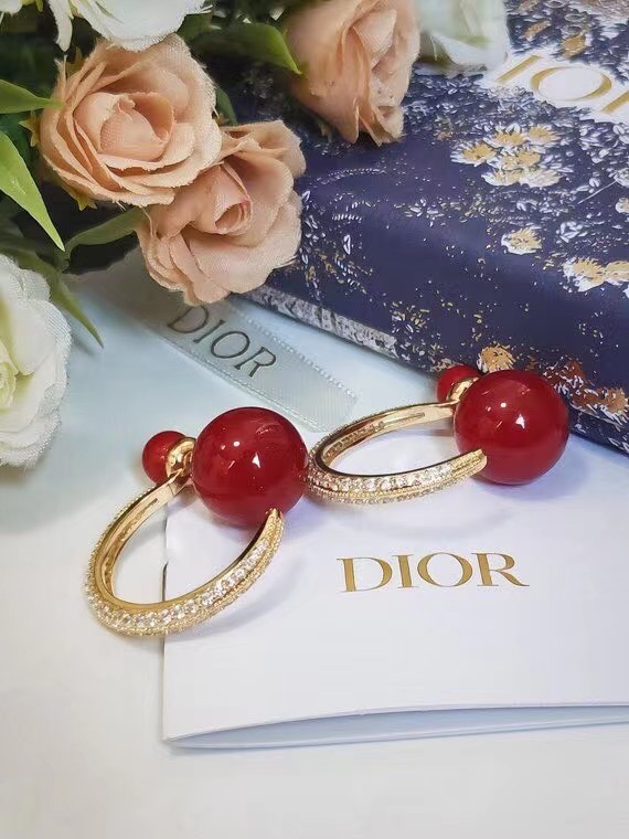 Dior Earrings CE7215