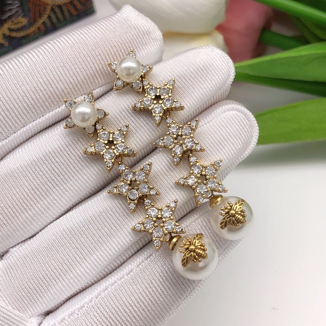 Dior Earrings CE7285