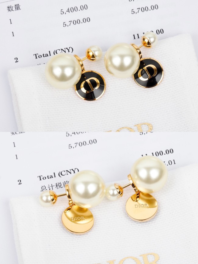 Dior Earrings CE7298