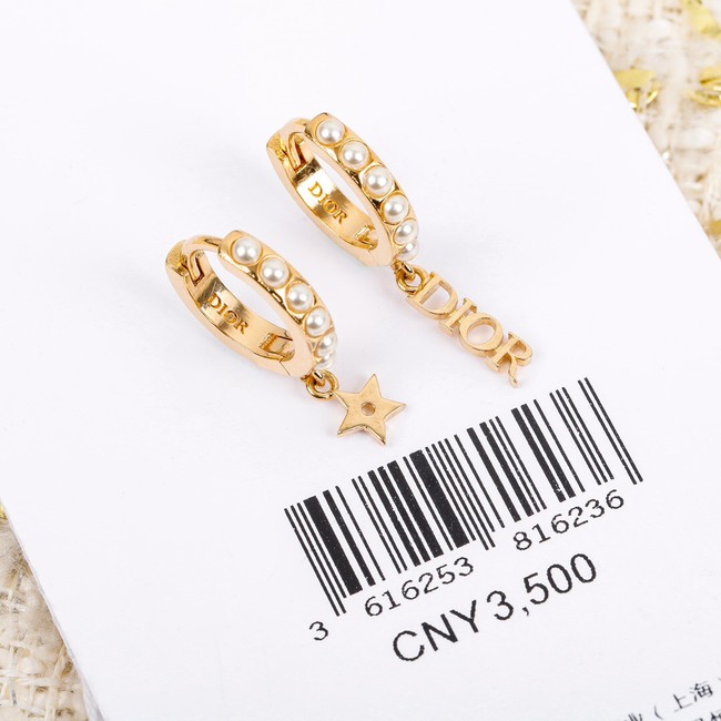 Dior Earrings CE7299