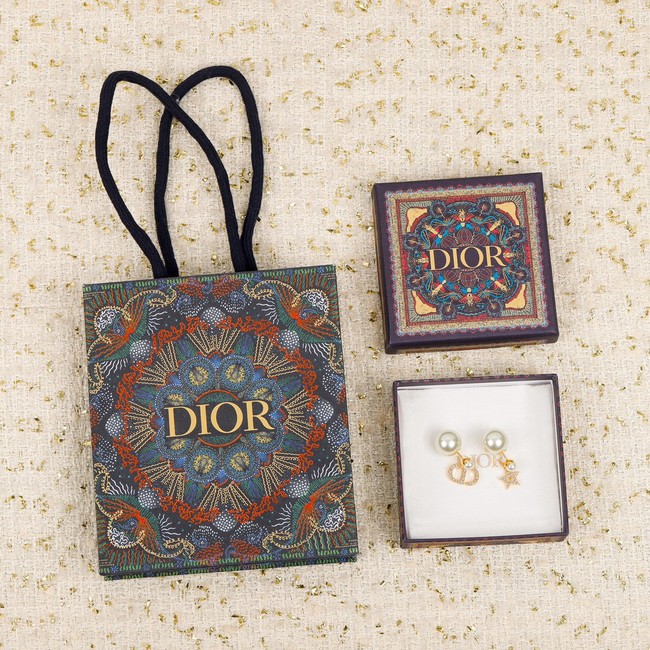 Dior Earrings CE7300