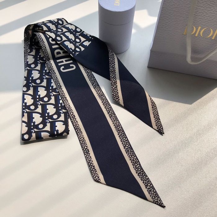 Dior Scarf CD00100