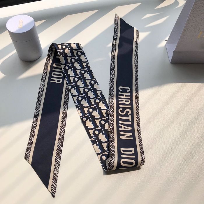 Dior Scarf CD00100