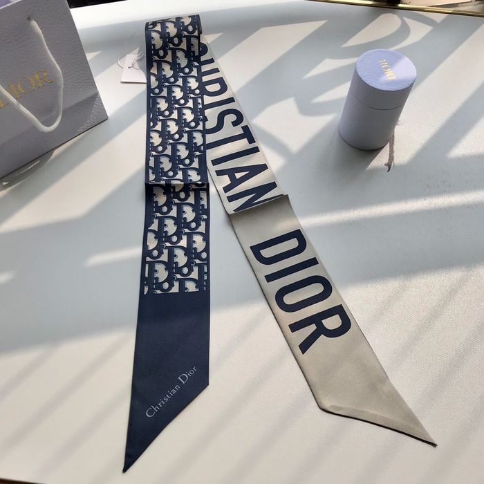 Dior Scarf CD00101