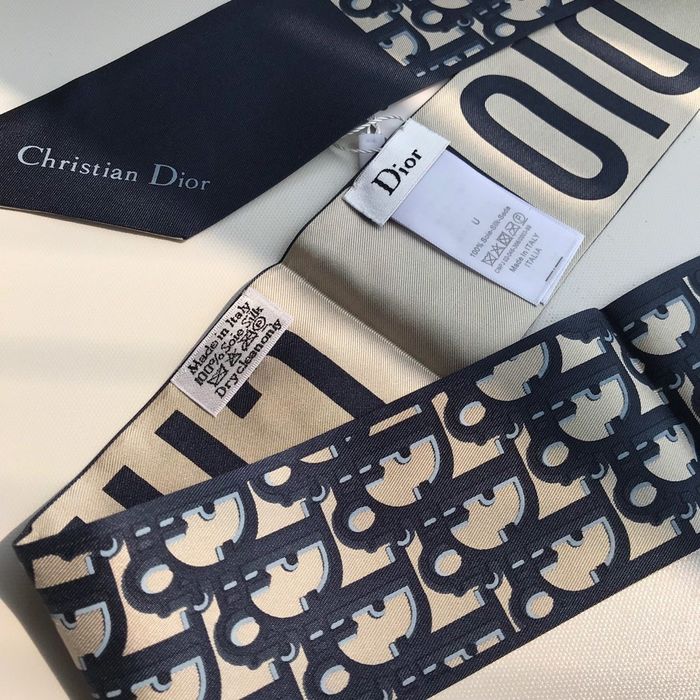 Dior Scarf CD00101