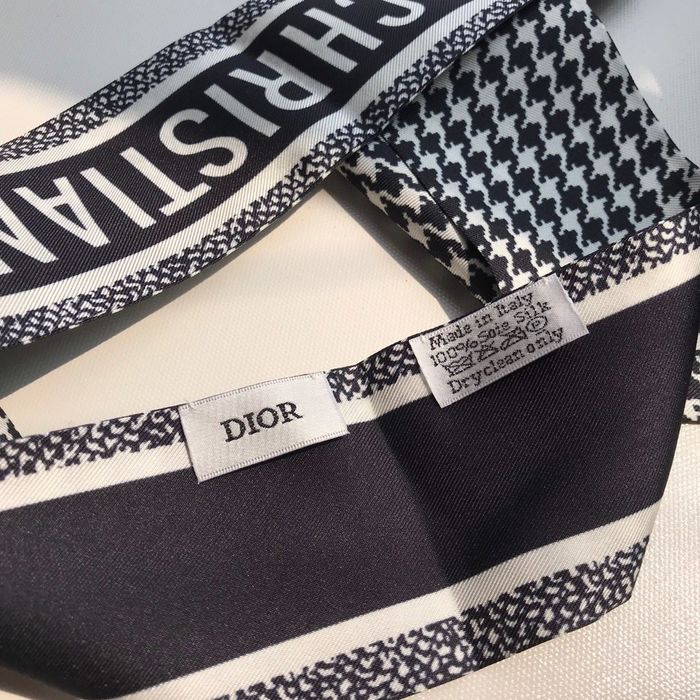 Dior Scarf CD00103