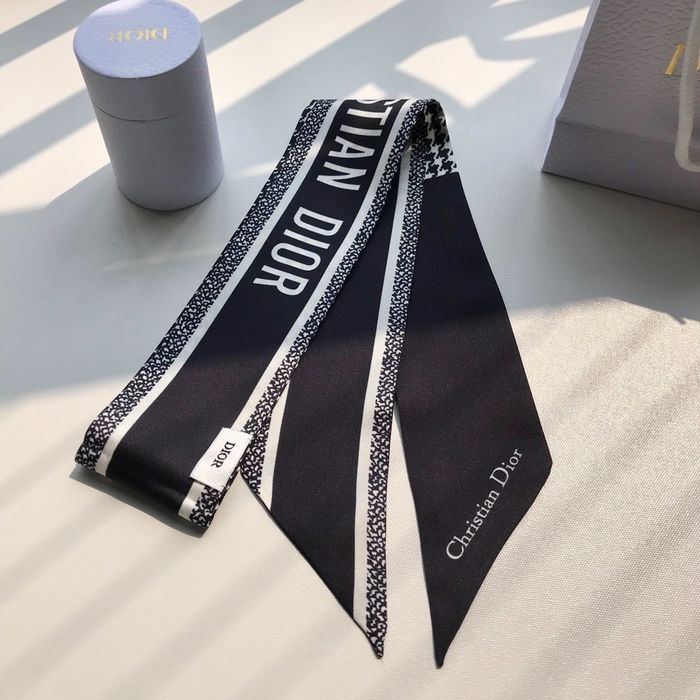 Dior Scarf CD00103