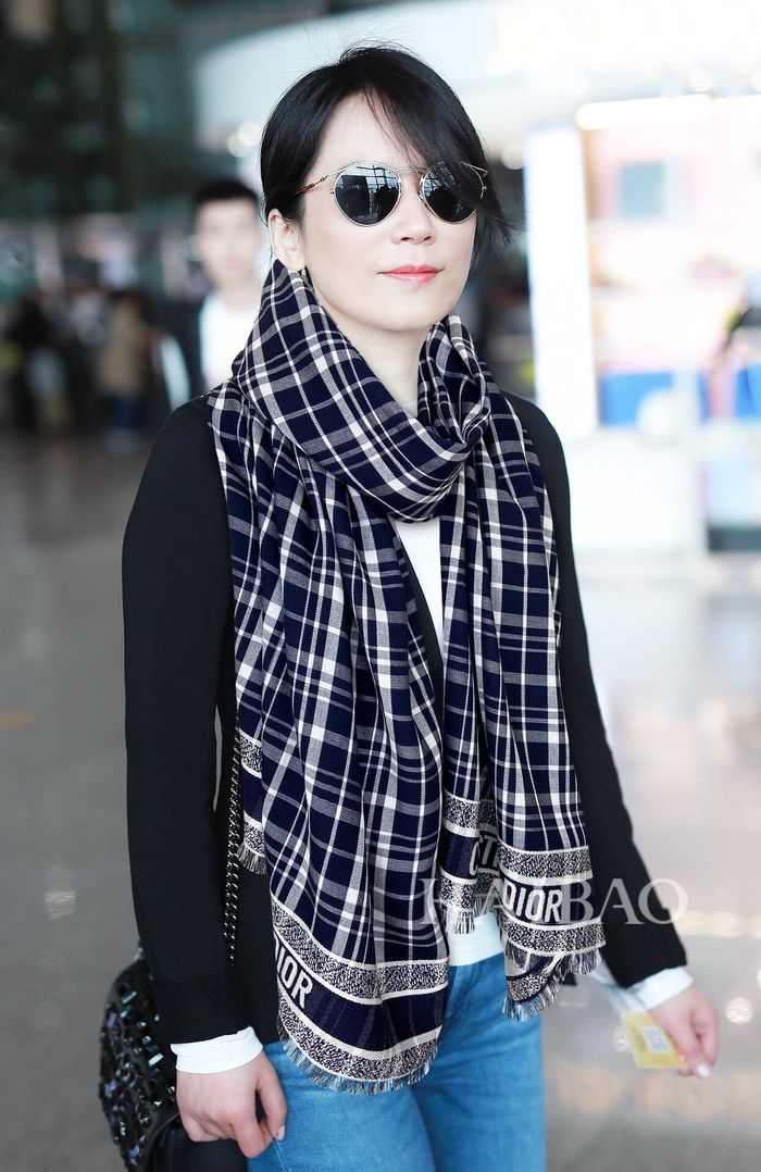 Dior Scarf CD00114