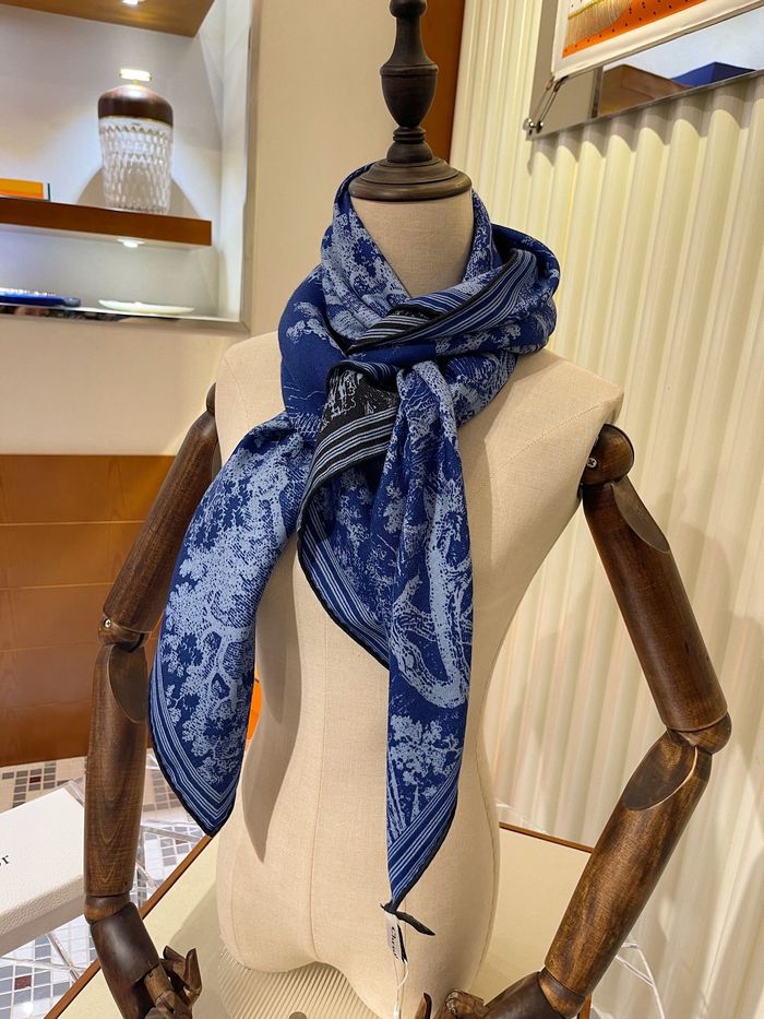 Dior Scarf CD00131