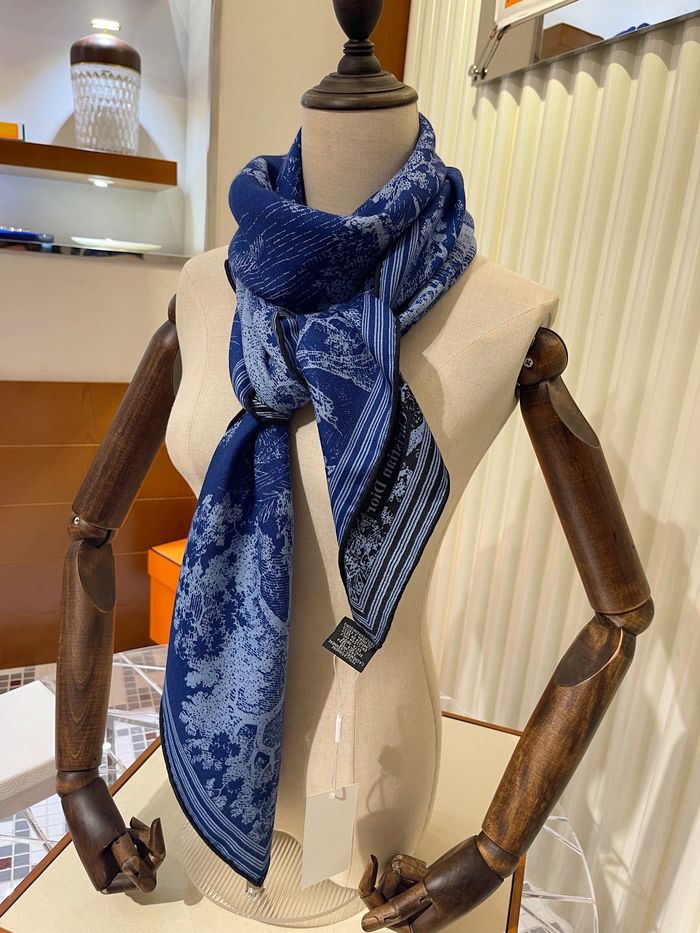 Dior Scarf CD00131