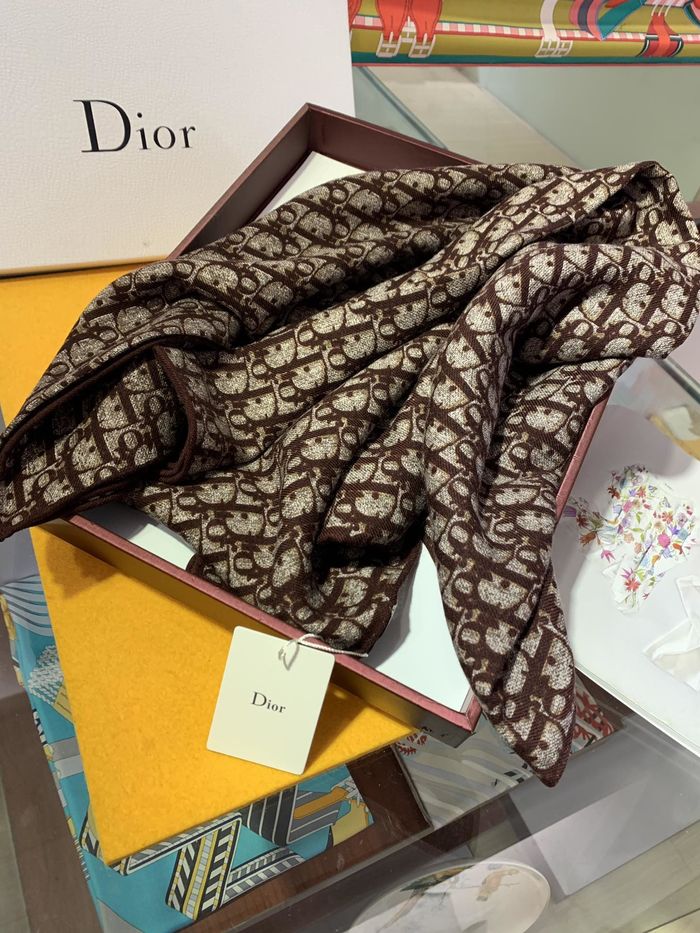 Dior Scarf CD00145