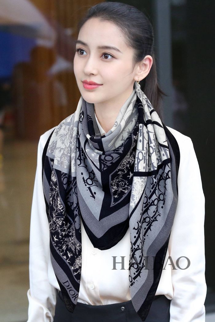 Dior Scarf CD00148