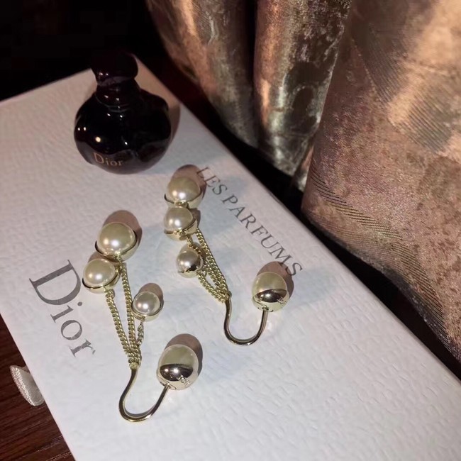 Dior Earrings CE7389