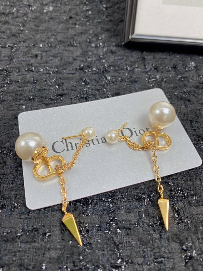 Dior Earrings CE7454