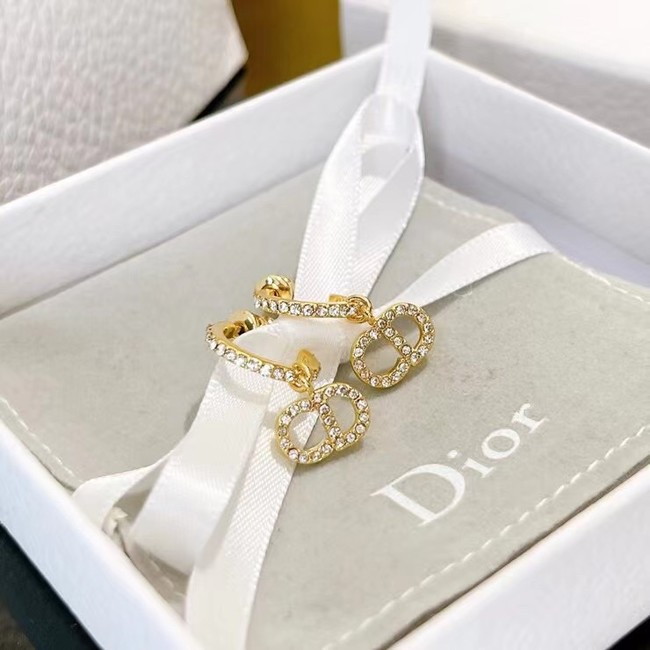 Dior Earrings CE7464