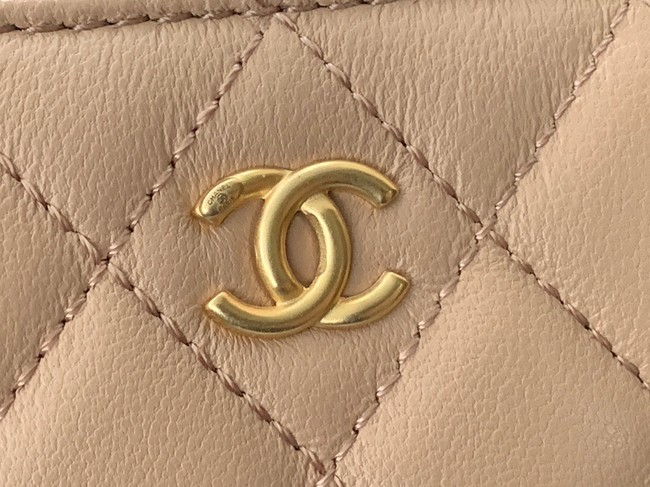 Chanel Lambskin camera bag AS2463 apricot