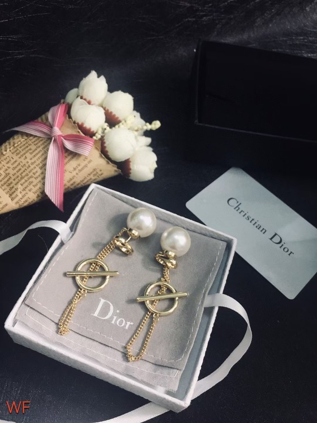 Dior Earrings CE7558