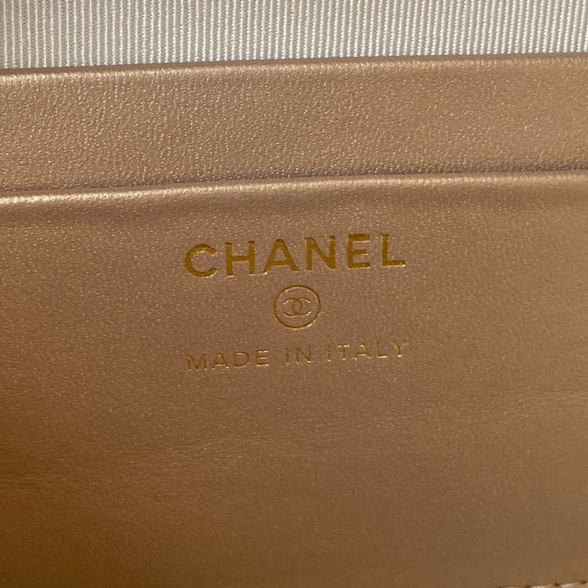 Chanel Lambskin camera bag AS2463 green