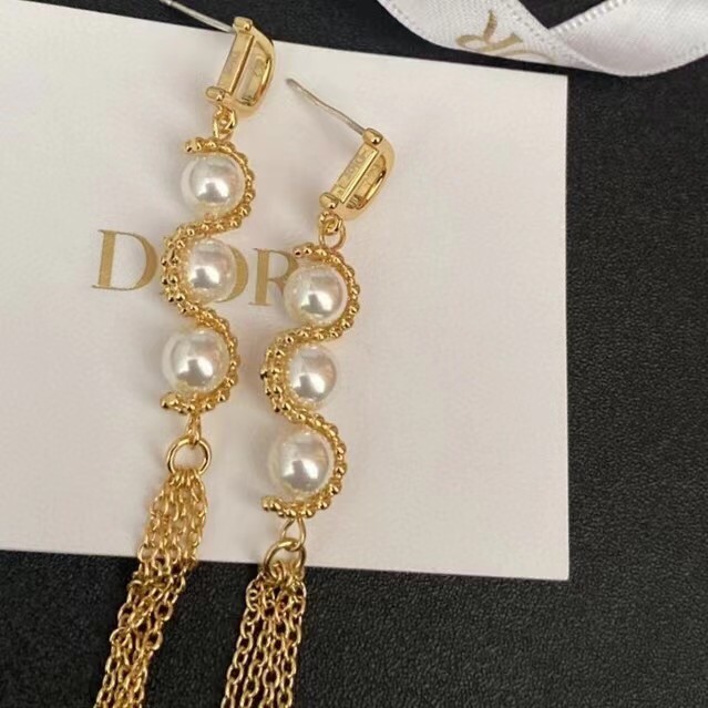 Dior Earrings CE7657