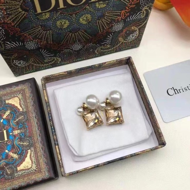 Dior Earrings CE7659