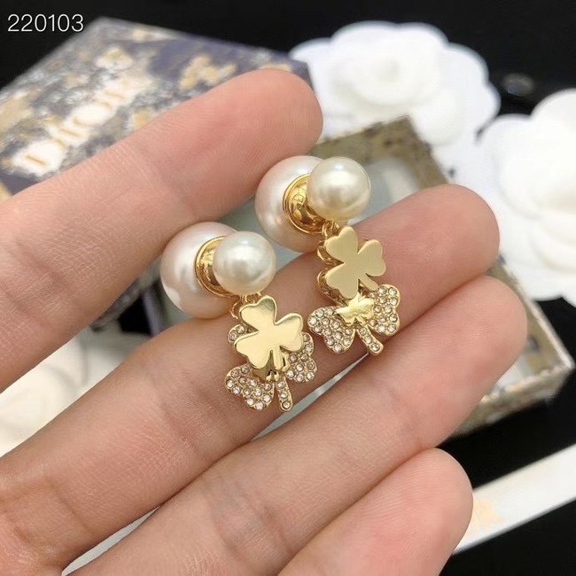 Dior Earrings CE7692