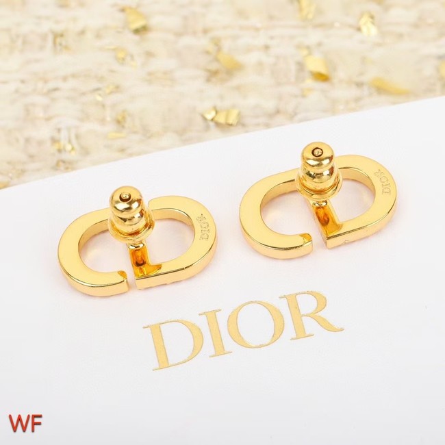 Dior Earrings CE7694