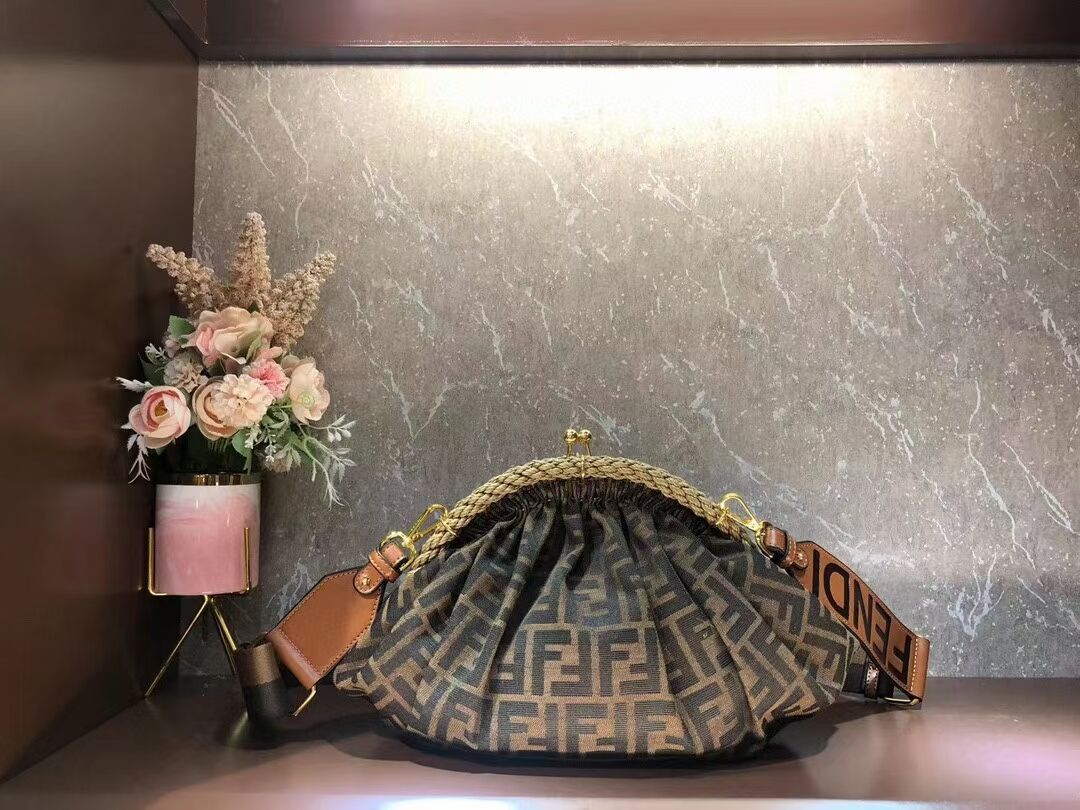 FENDI fabric bag F7641 brown