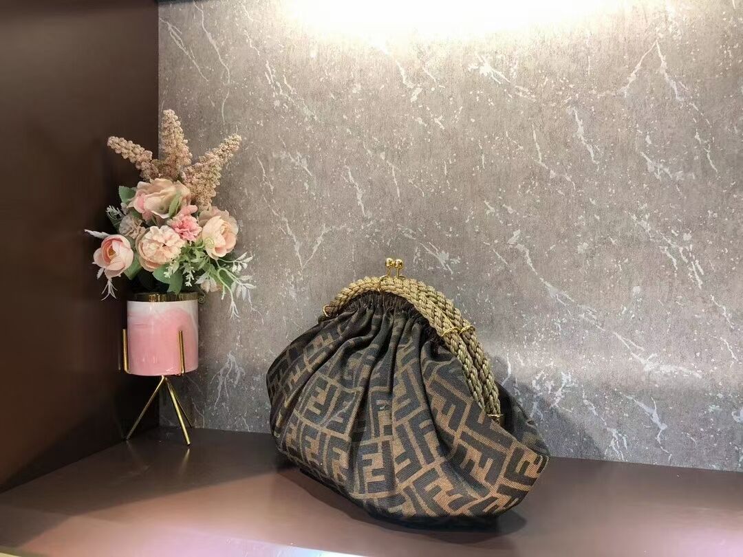 FENDI fabric bag F7641 brown