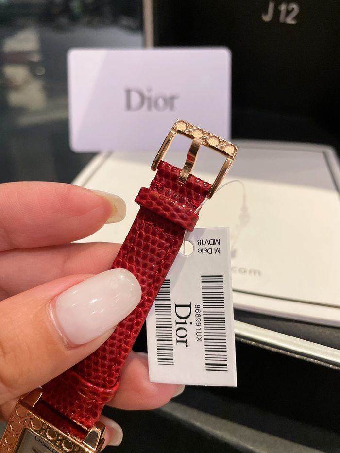 Dior Watch DRW00008-1