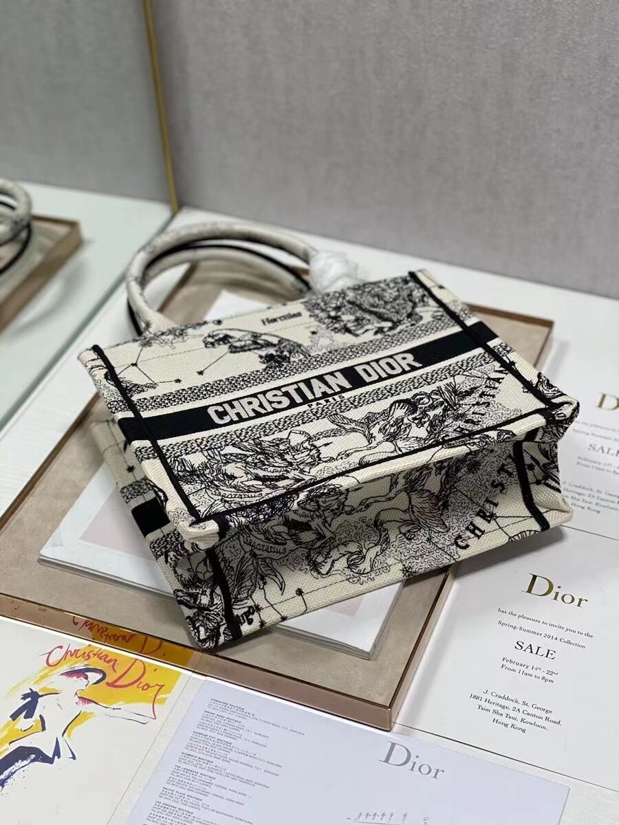 SMALL DIOR BOOK TOTE Embroidery C1331-4