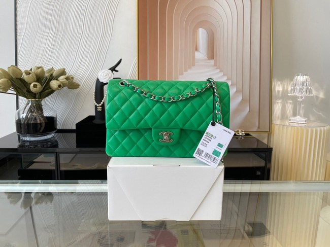 Chanel classic handbag Lambskin&silver Metal 01112 green