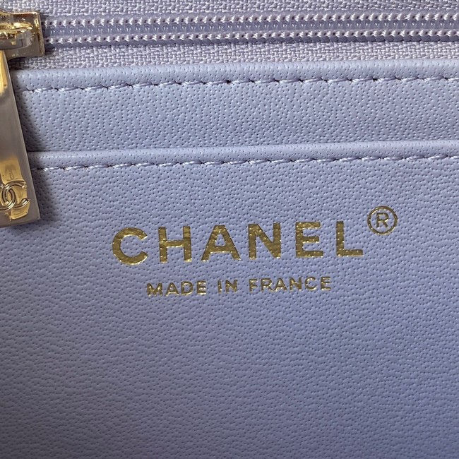 Chanel Sheepskin Leather mini flap bag with top handle AS2431 light purple