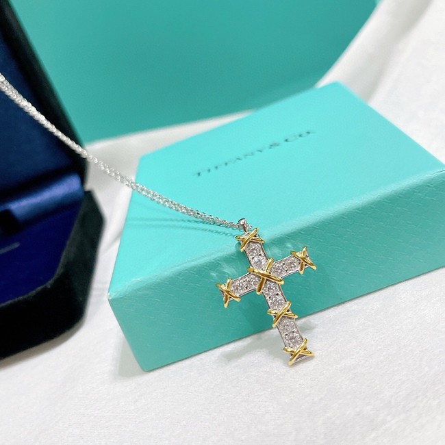 TIFFANY Necklace CE7869