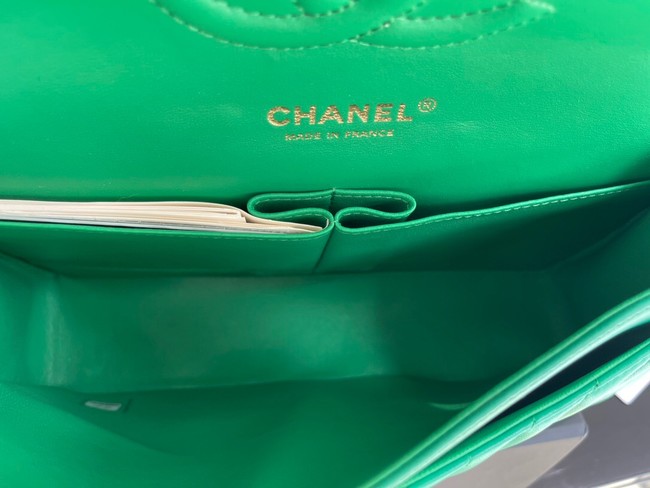 Chanel classic handbag Lambskin & gold Metal V01112 green