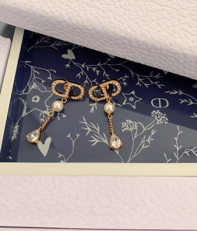 Dior Earrings CE7980