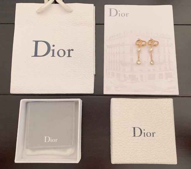 Dior Earrings CE7980