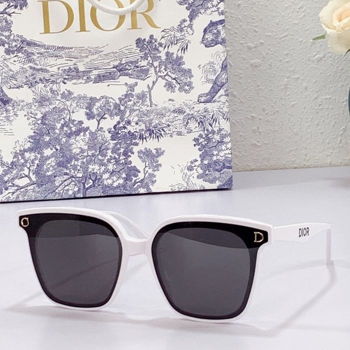 Dior Sunglasses Top Quality DIS00634