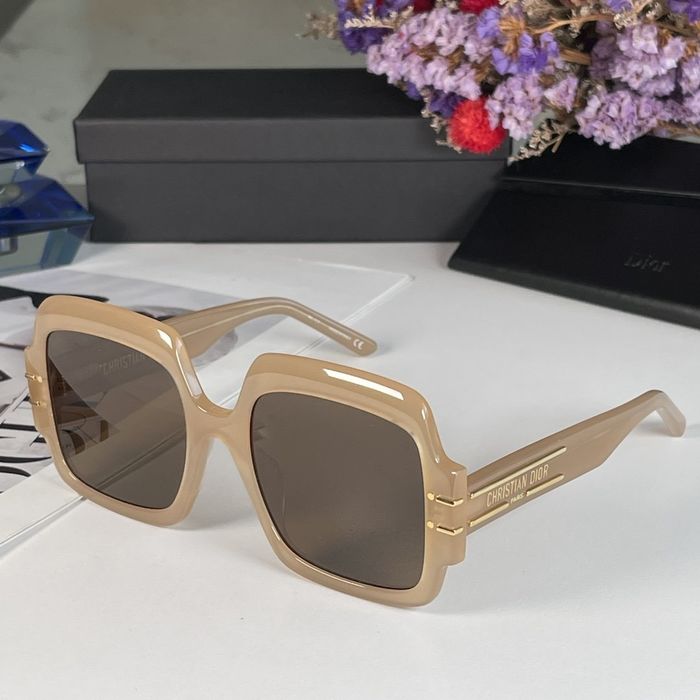 Dior Sunglasses Top Quality DIS00694