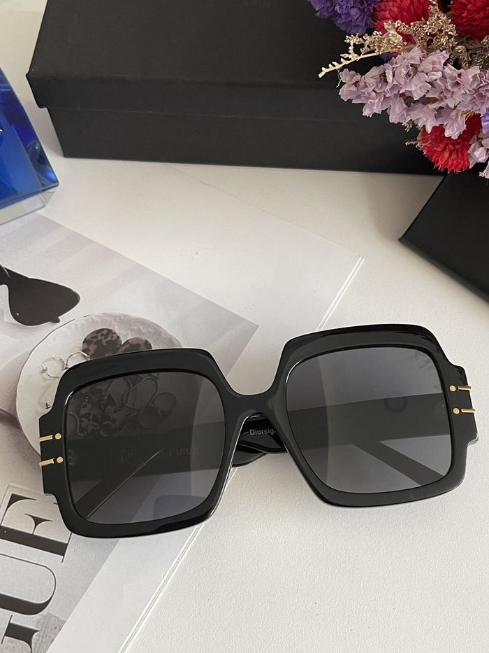 Dior Sunglasses Top Quality DIS00929