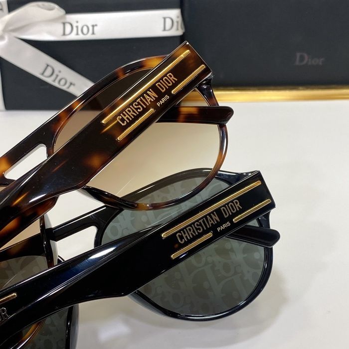 Dior Sunglasses Top Quality DIS00946