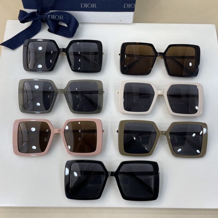 Dior Sunglasses Top Quality DIS01007