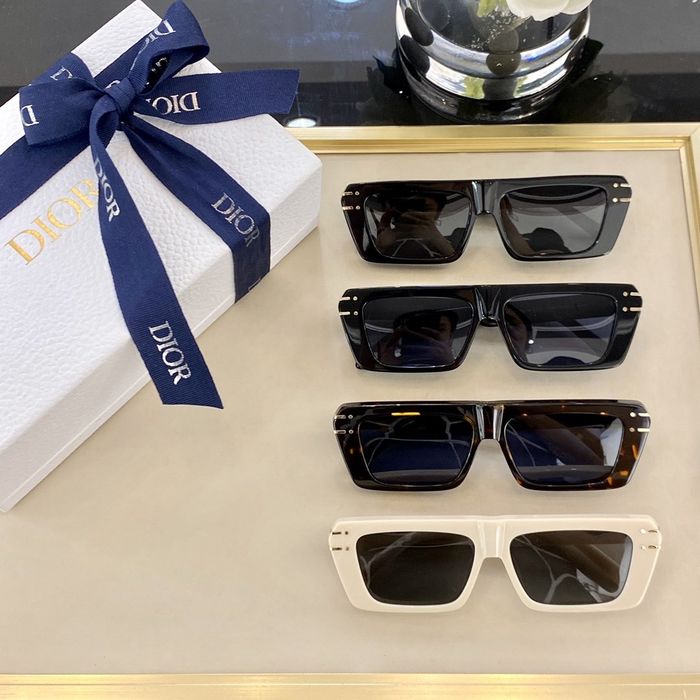 Dior Sunglasses Top Quality DIS01013