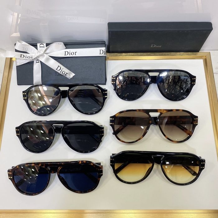 Dior Sunglasses Top Quality DIS01058