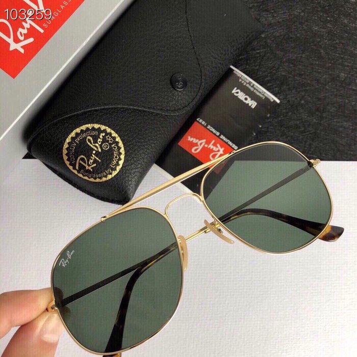 RayBan Sunglasses Top Quality RBS00292