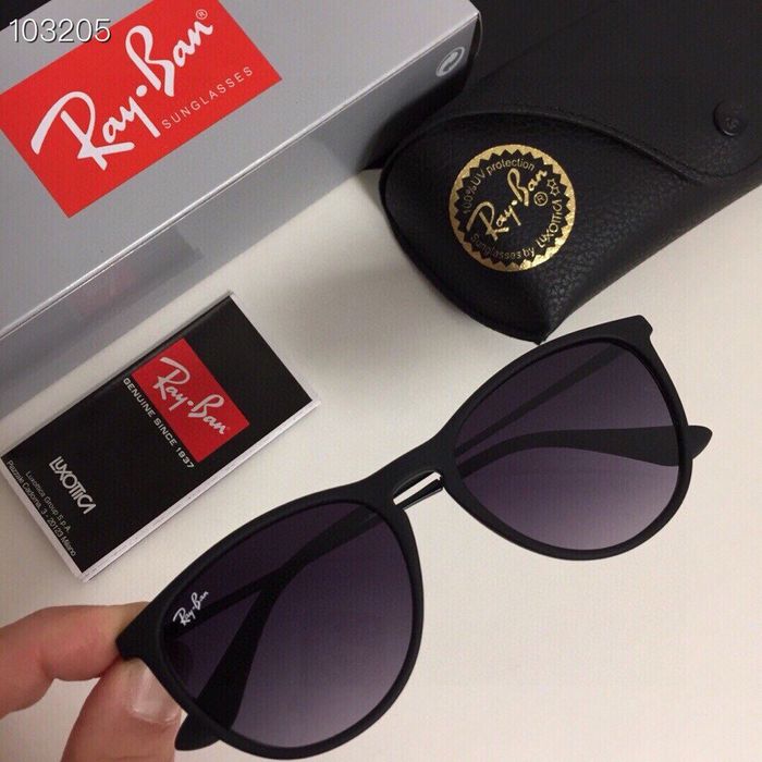 RayBan Sunglasses Top Quality RBS00305