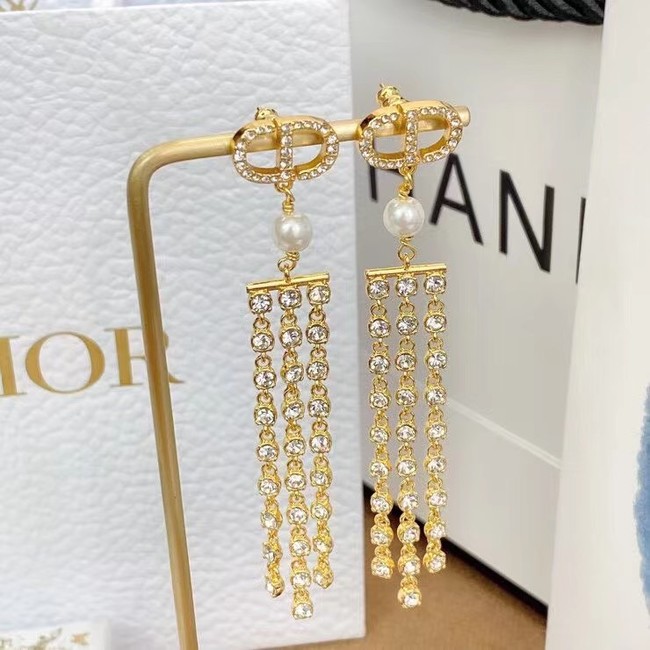 Dior Earrings CE7994