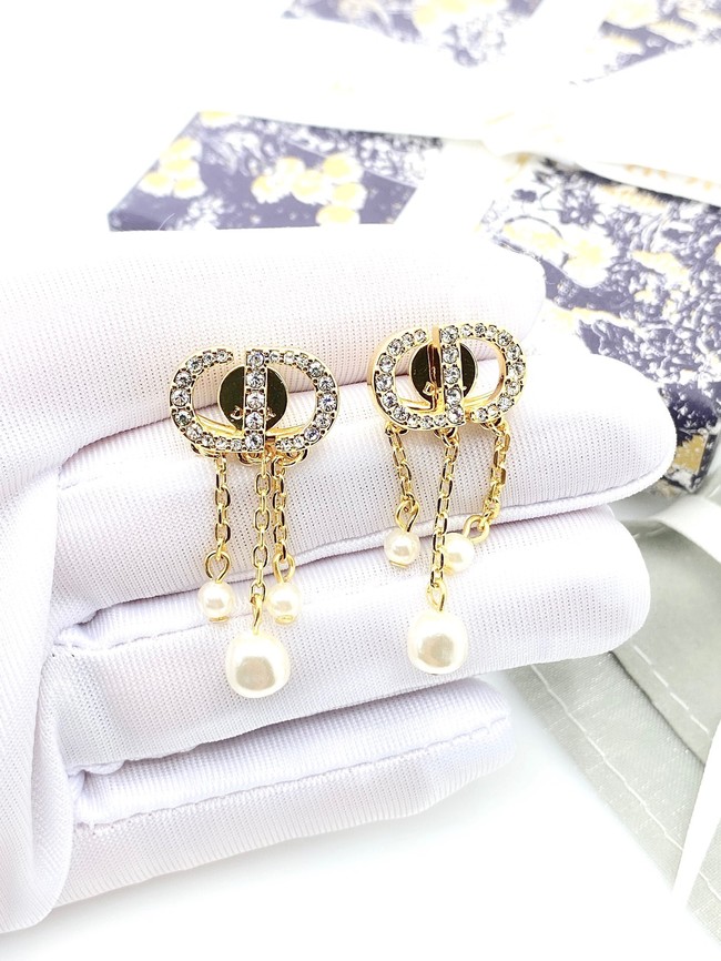 Dior Earrings CE8003