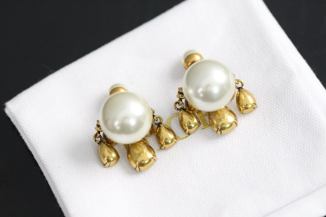 Dior Earrings CE8033